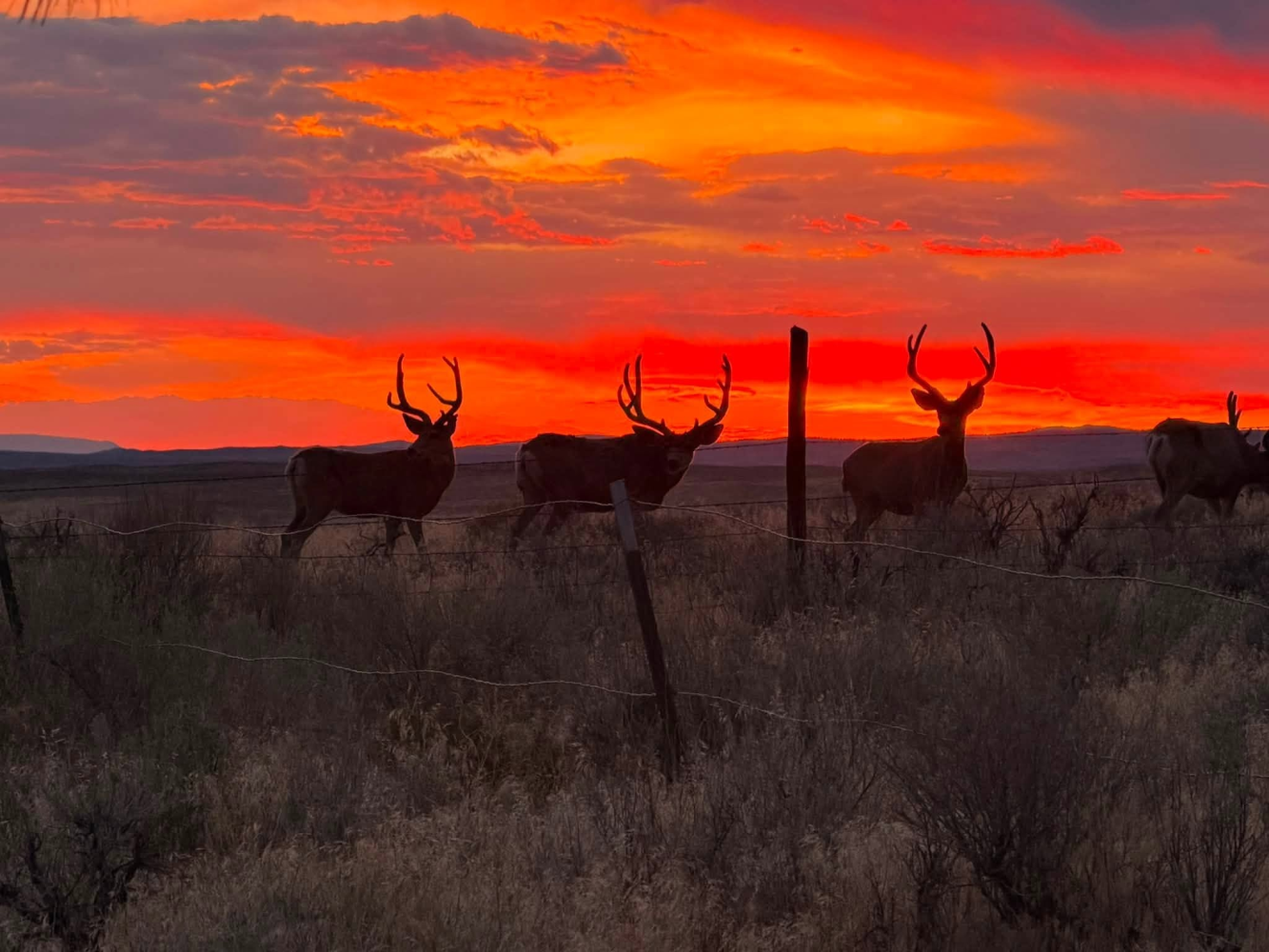 Moffat County