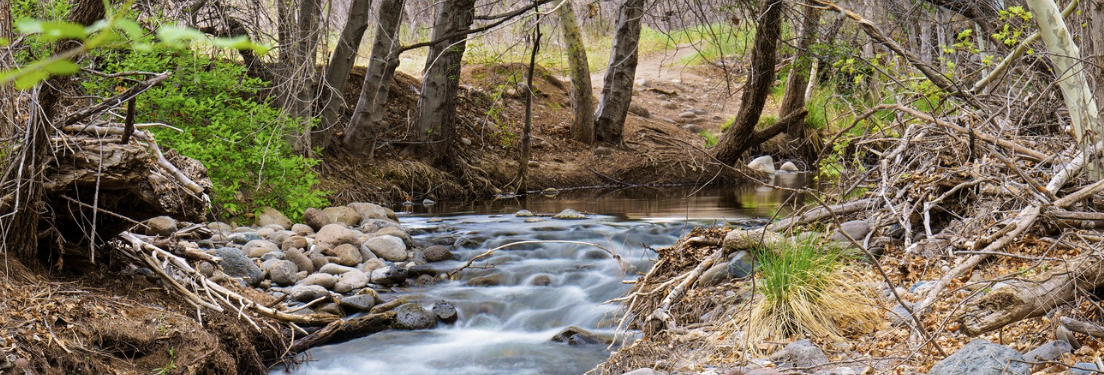 Town of Camp Verde